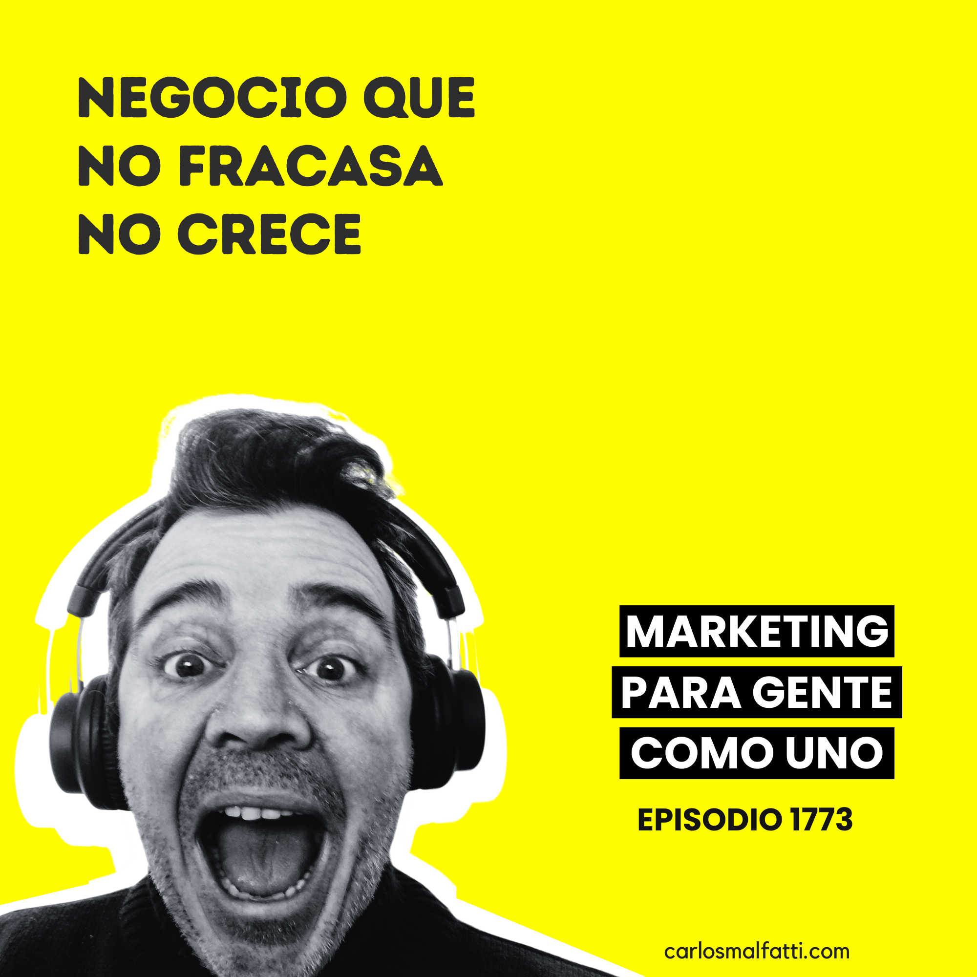 1773 Un negocio que no fracasa, no crece.