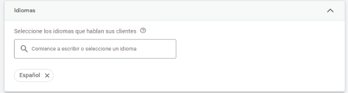 elegir idioma campaña maximo rendimiento google ads